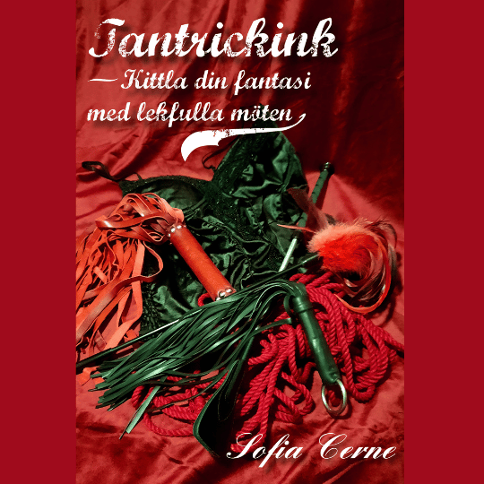 Tantrickink - kittla din fantasi med lekfulla möten