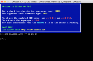 DOSbox