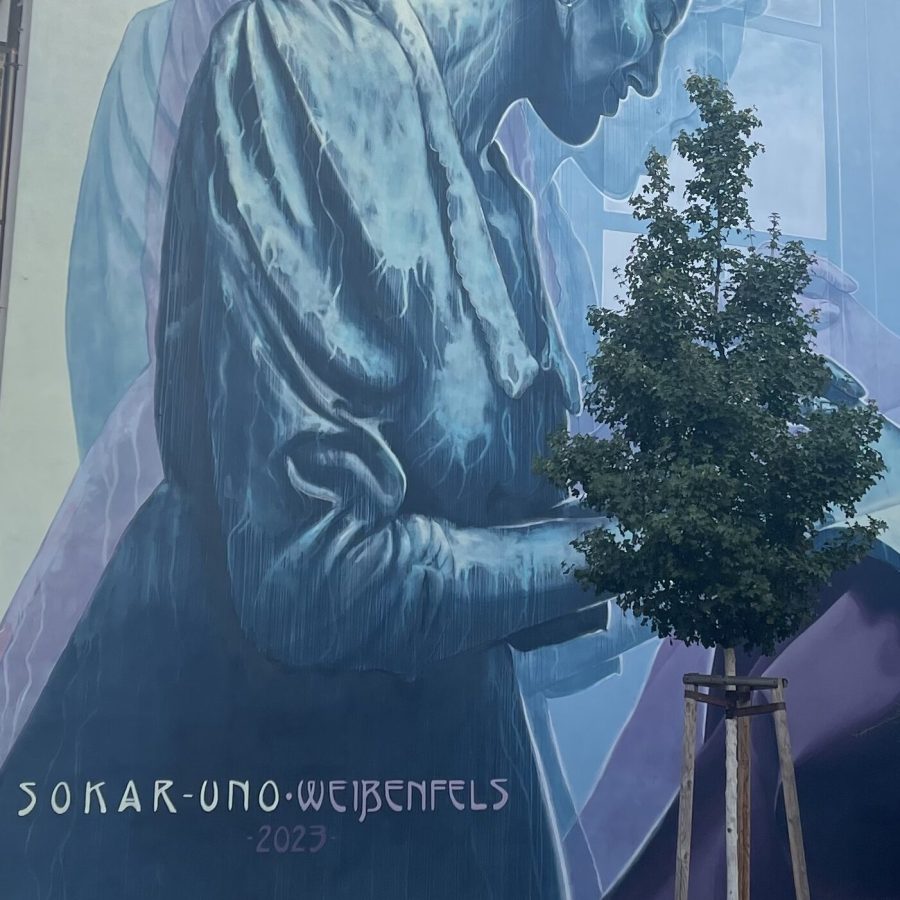 YAP_Mural_Stadt-Weißenfels_Sokar-Uno_Intro