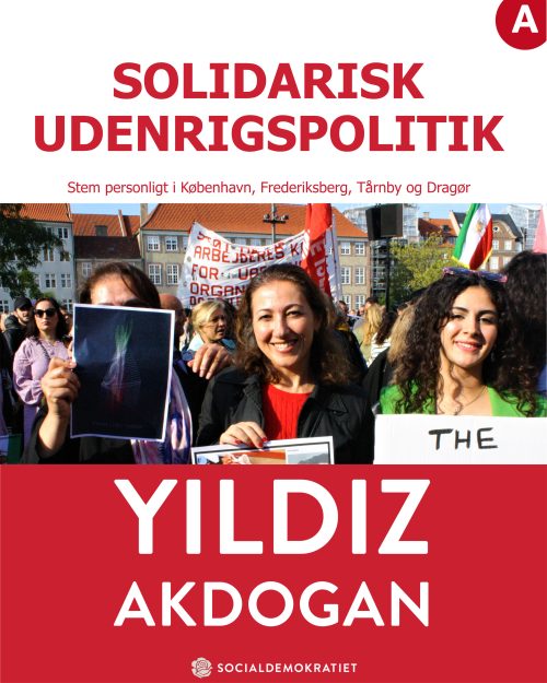 Yildiz Akdogan Folketinget udenrigspolitik