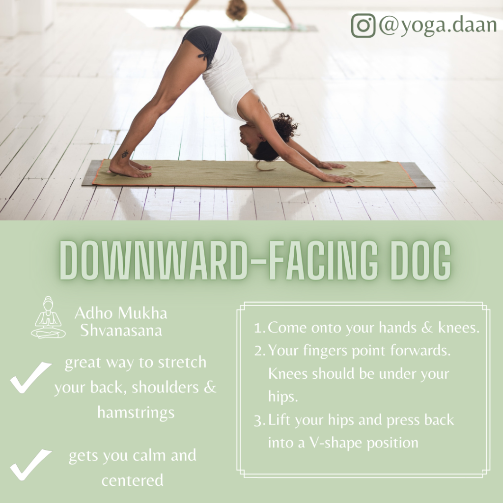 Downward dog - 6 easy Yoga positions for beginners 