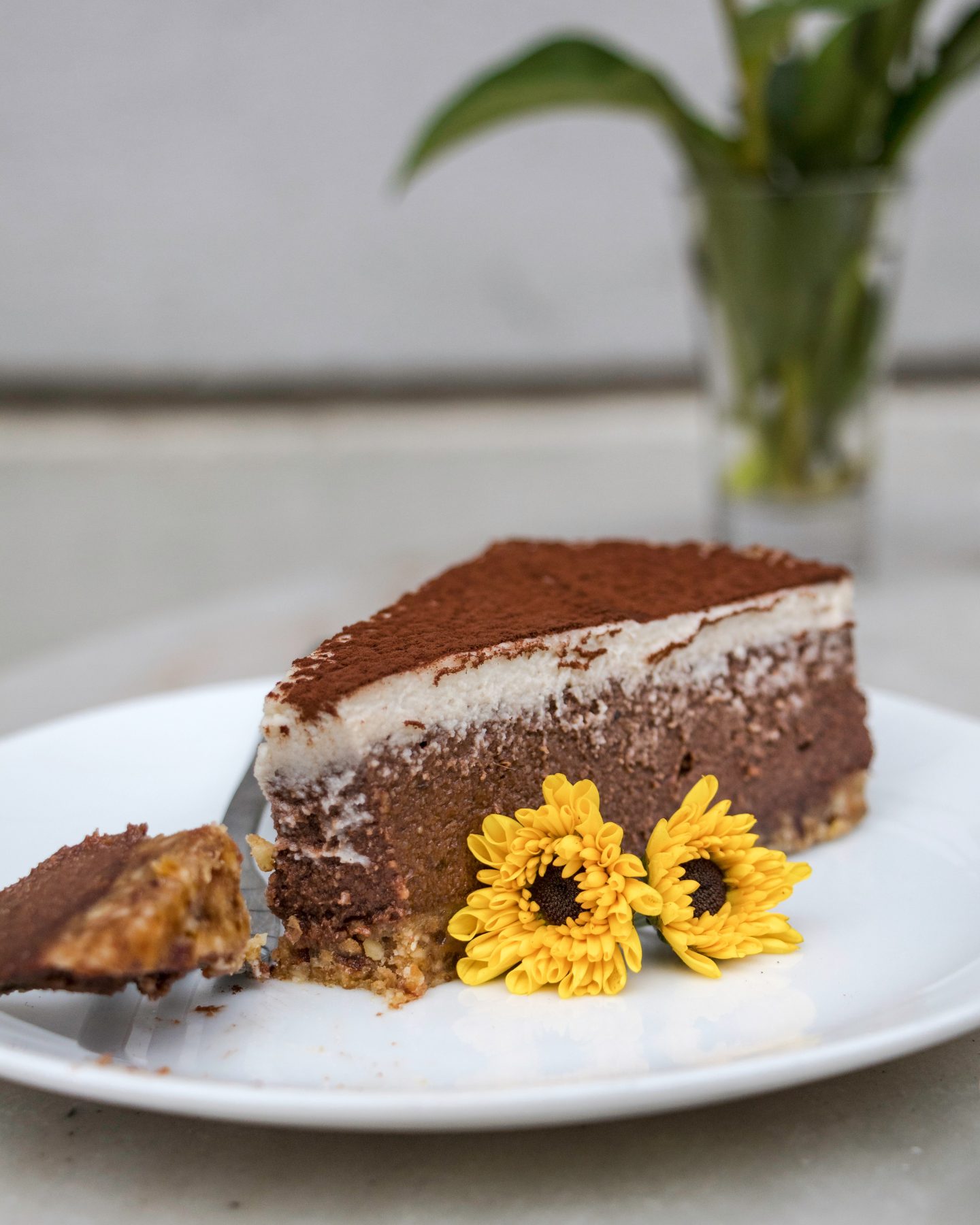 raw tiramisu cake