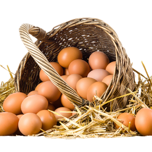 https://usercontent.one/wp/www.yolkeggs.co.uk/wp-content/uploads/2022/10/Eggs-basket-transparent-300x300.png