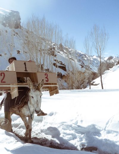 Mé(ti)ssages-Bamyan Ski Club (5)