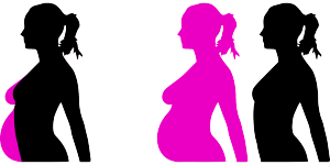 The majority of Latvian women seeking abortions are educated and in long-term relationships