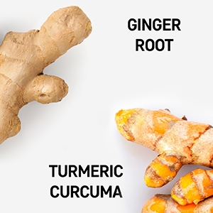 Antioxidants ginger root and turmeric curcuma