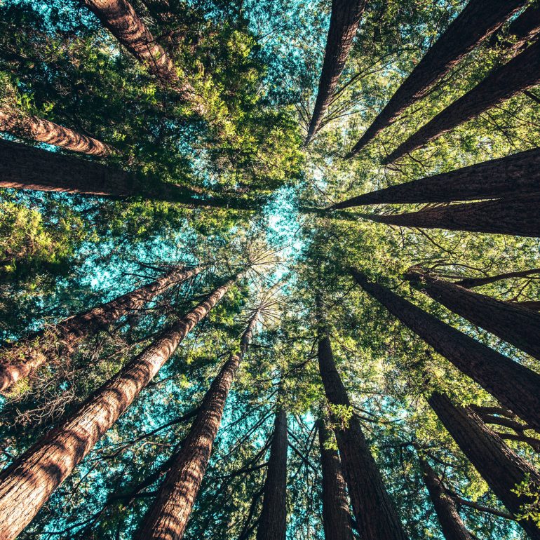 casey-horner-487085-unsplash-e1546424618328.jpg casey-horner-487085-unsplash-e1546424618328.jpg