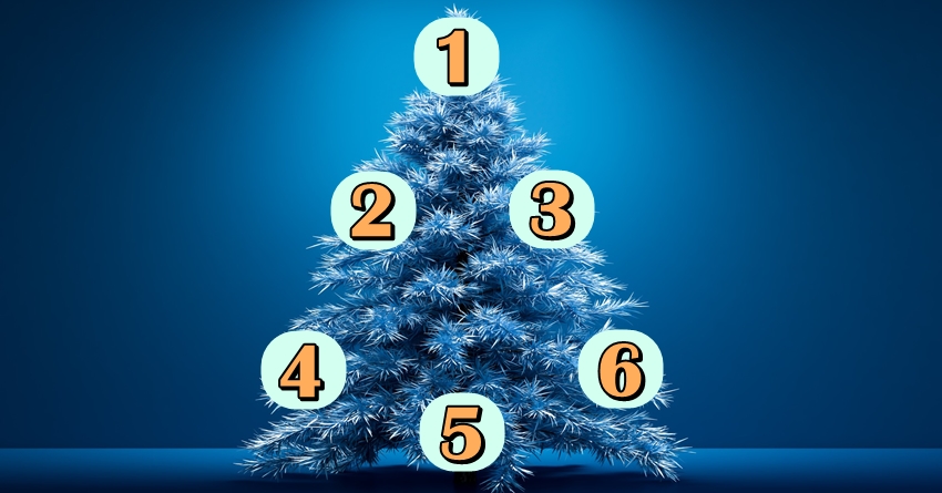 Drvo decembarskih zelja: Broj koji izaberes otkriva hoce li se tvoja najveca zelja ostvariti!