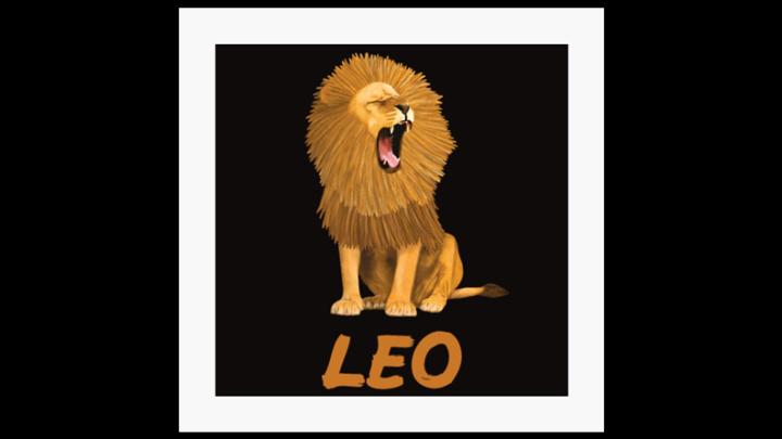 Njegovo visocanstvo – lav: Mnogi bi dali sve sto imaju, samo da budu kao on!
