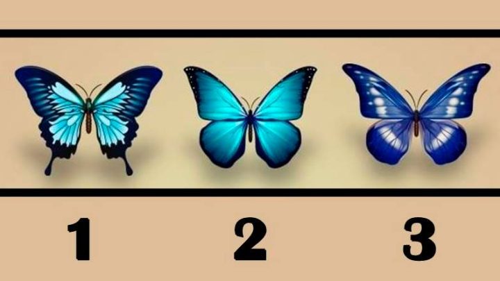 Ljubav na prvi pogled, raskid ili prosidba: Izaberi leptira i saznaj sta ti sledi!