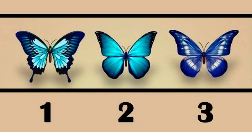 Ljubav na prvi pogled, raskid ili prosidba: Izaberi leptira i saznaj sta ti sledi!
