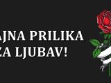 Sjajna prilika,ljubav.