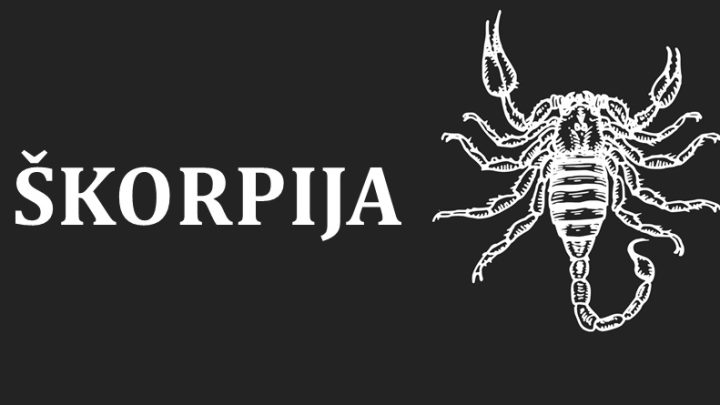 Skorpija je kraljica,rodjena je da bude najbolja-nema joj ravne!