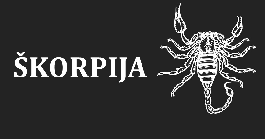 Skorpija je kraljica,rodjena je da bude najbolja-nema joj ravne!