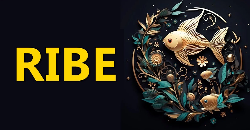 Ribe:One mogu sve sto hoce,samo glume da su naivne jer gledaju sta radite! Ribe:One mogu sve sto hoce,samo glume da su naivne jer gledaju sta radite!
