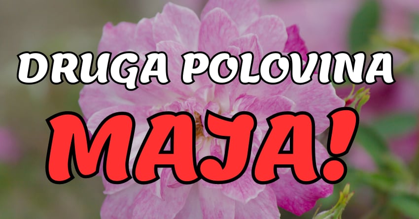 Pocela je druga polovina meseca,a ovi znaci ce do 31.maja imati najvise srece!