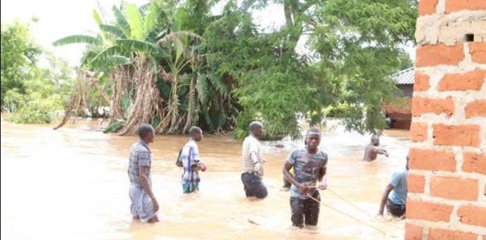 One Dead, Several Animals Lost as Floodwaters Sweep Through Kanzungula