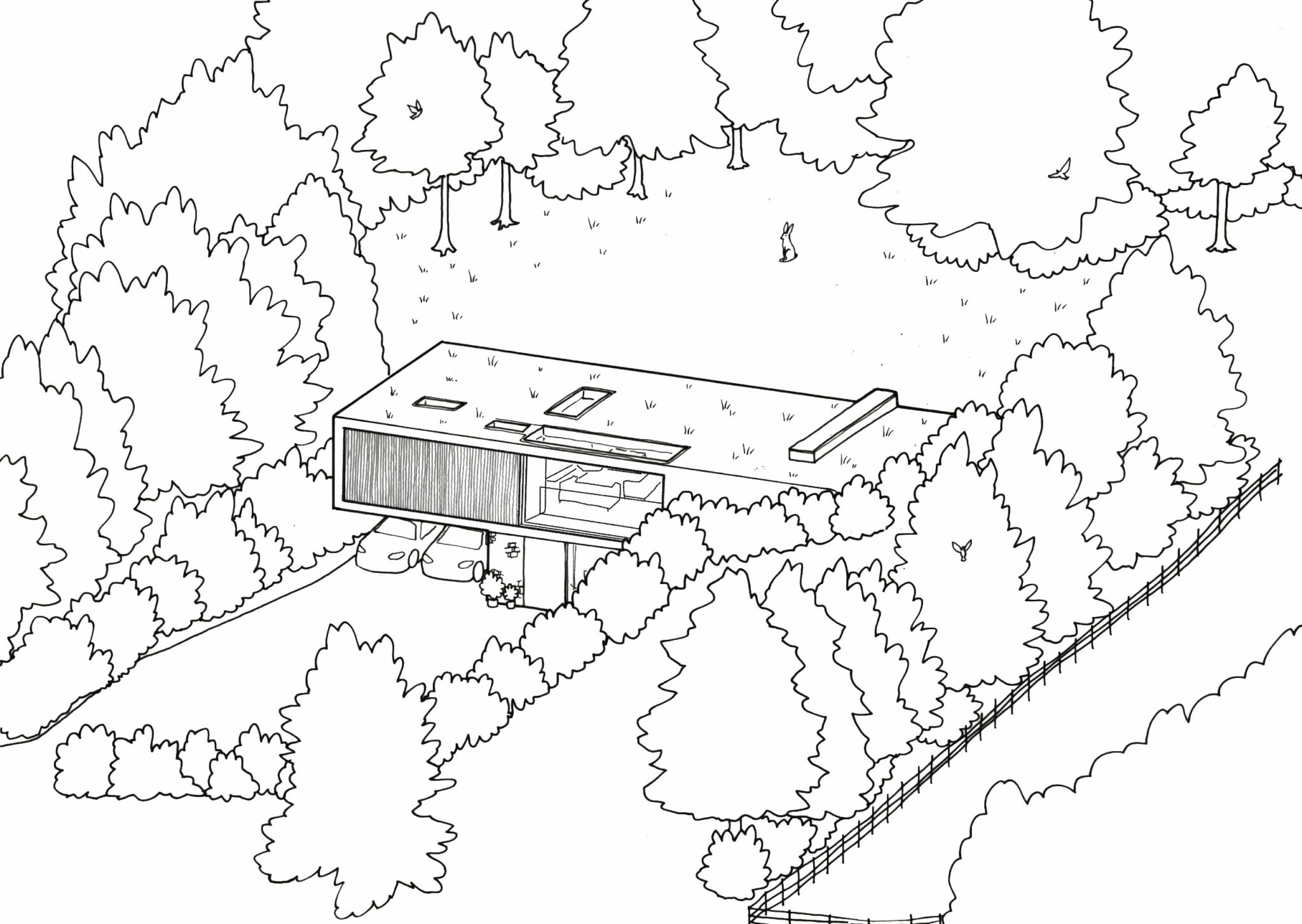 The Cedar House Zara Moon Architects