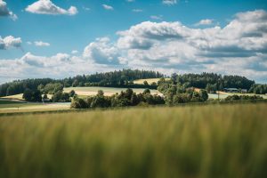 Kräuterwanderung - Zauberwurz - Wildenhof - Stammbach - Oberfranken - 2022