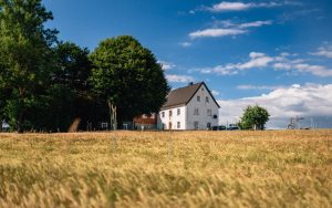 Kräuterwanderung - Zauberwurz - Wildenhof - Stammbach - Oberfranken - 2022