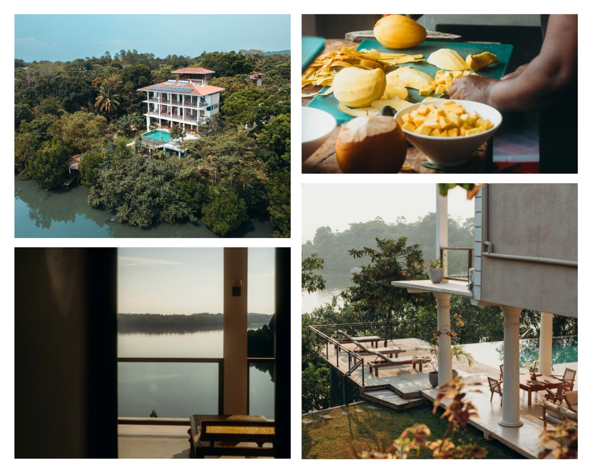 You are currently viewing Immersion en co-teaching avec Maeva Boldron du 21 au 28 mars 2027 au Sri Lanka