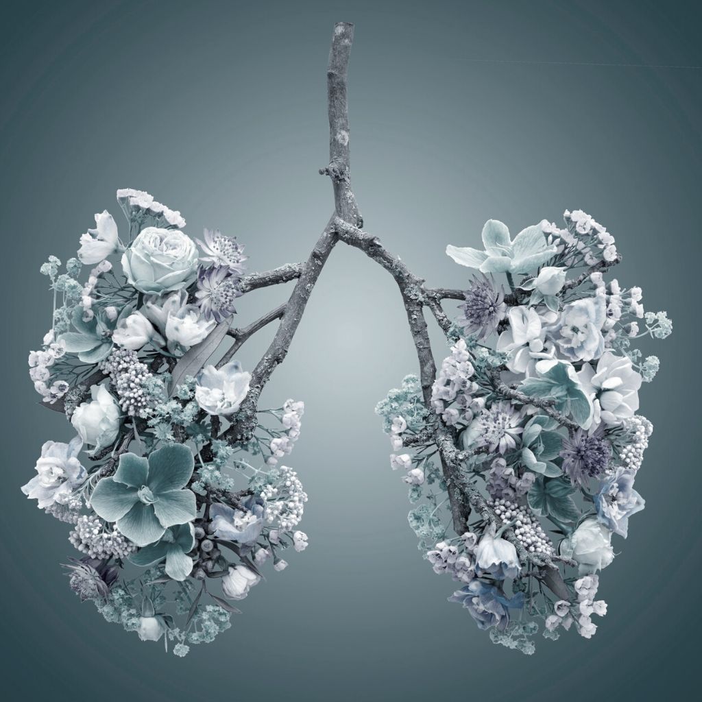 Lungs and trees live in a symbiosis helping each other breathe
