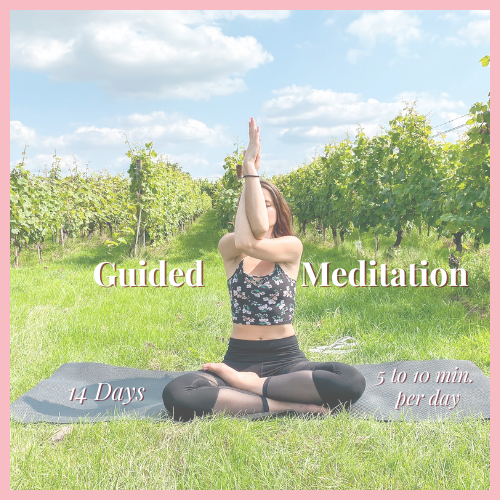 14 Day Guided Meditation Program by Zen With Debby
