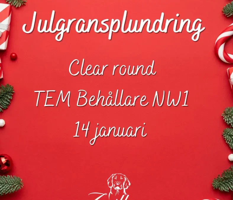 Julgransplundring den 14 januari