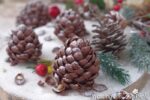 Pigne al cioccolato dolci natalizi senza cottura