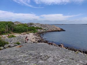 Läs mer om artikeln Min rofylld midsommarhelg vid havet