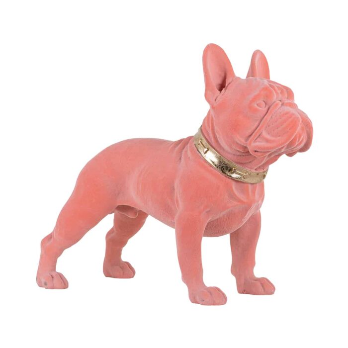 #¿NOMBRE? - Dog Spike pink (Pink)