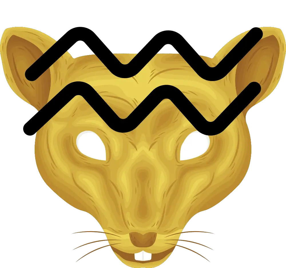 Aquarius Rat The Resourceful Visionary Zodiac Fusion