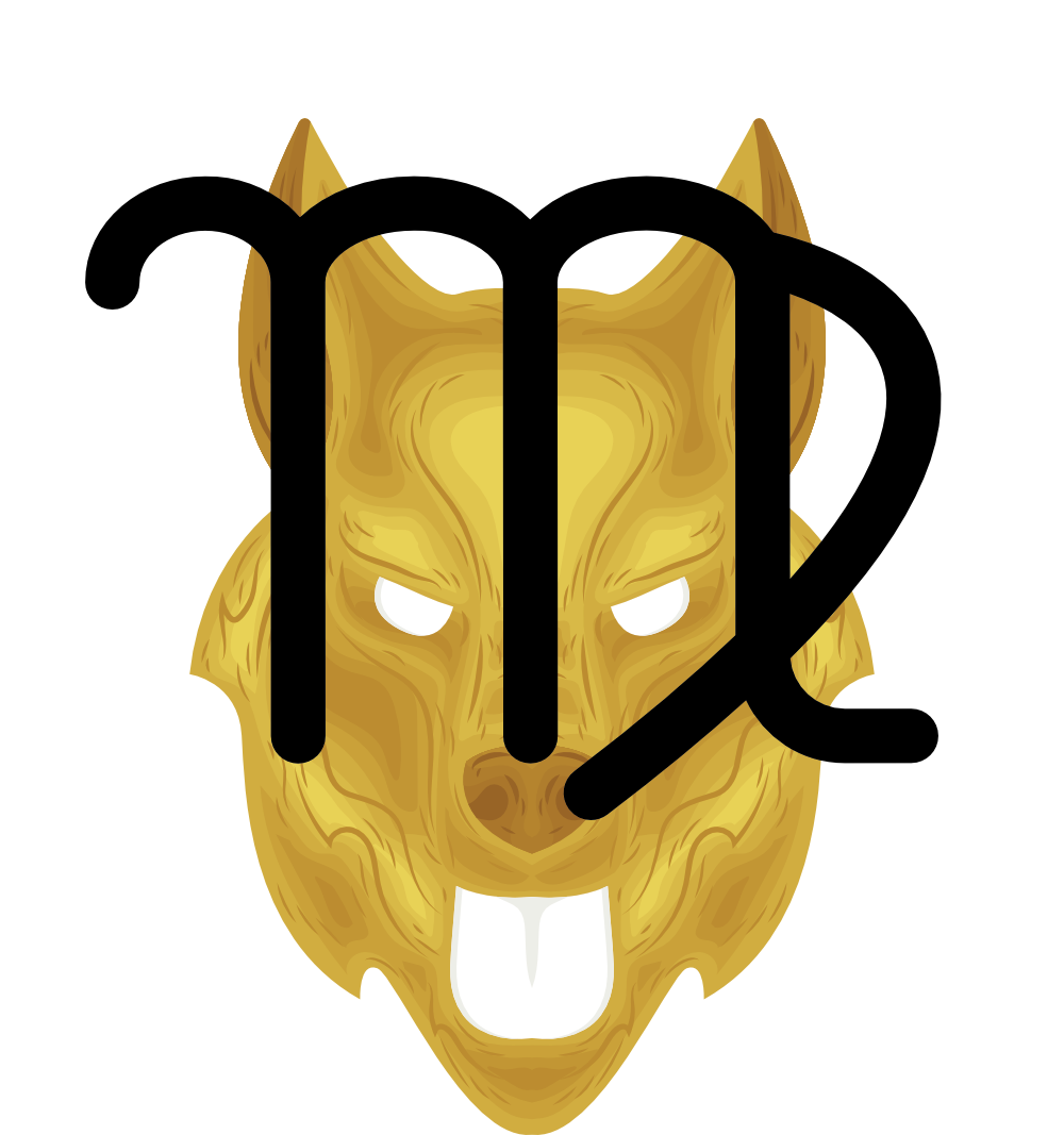 Virgo Dog Reliable and Dutiful Zodiac Fusion