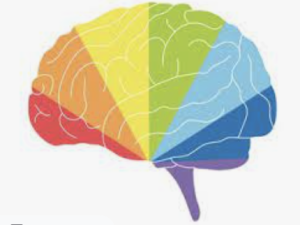 A brain in rainbow colours