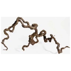 WINEWOOD M 40-70CM