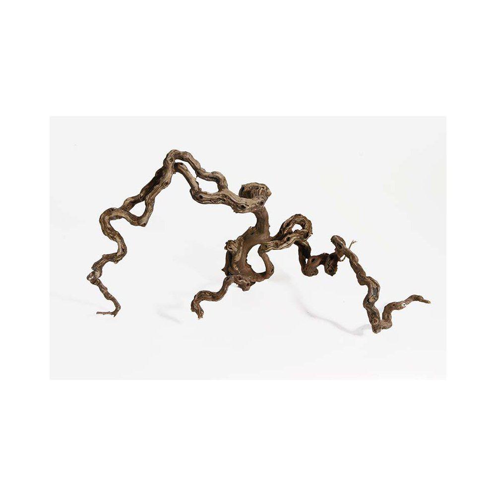 WINEWOOD M 40-70CM