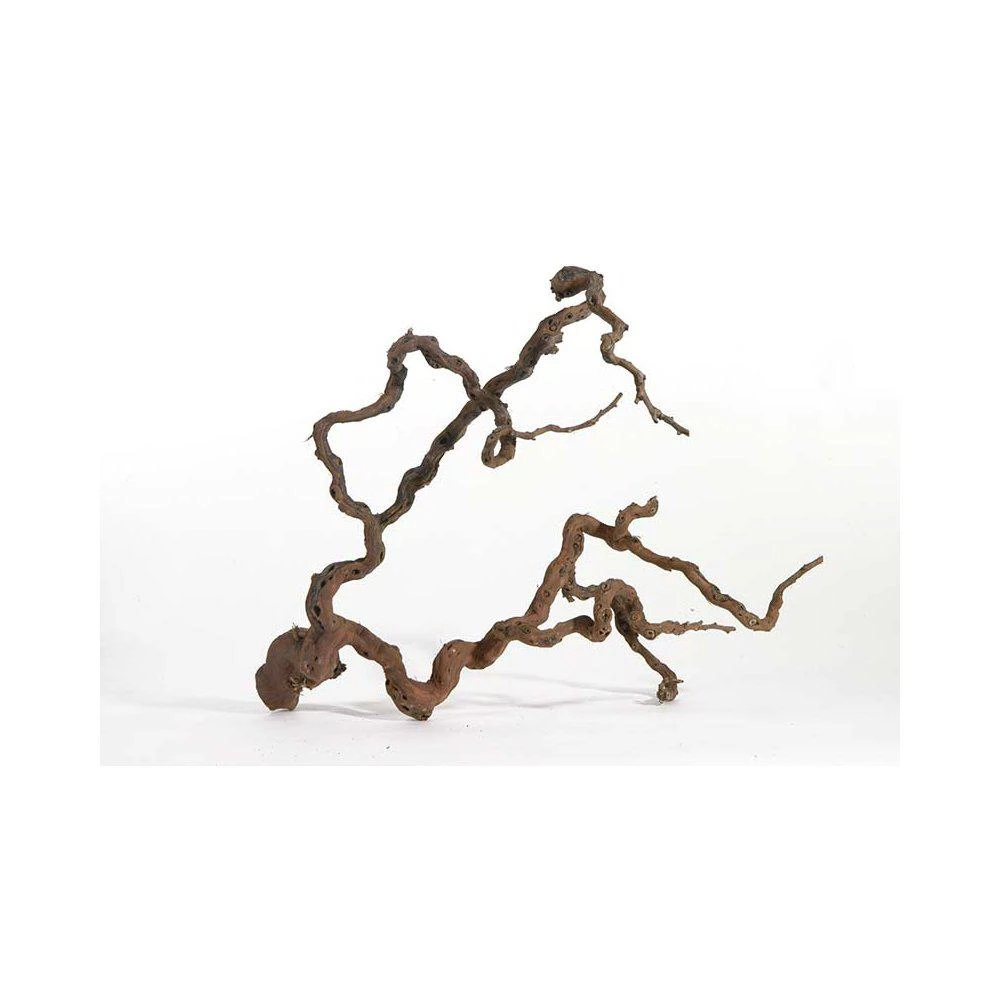 WINEWOOD L 70-100CM