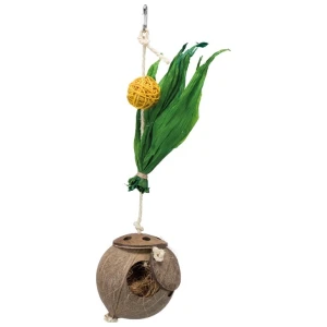 Cocosnöt på sisalrep, 35 cm