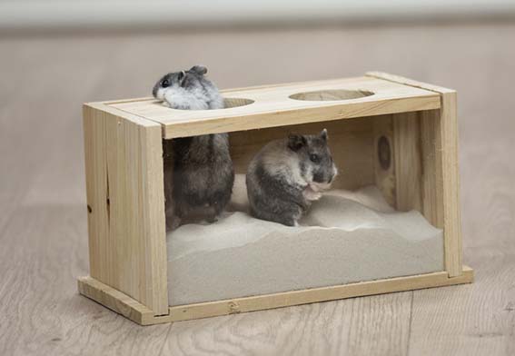 Trixie Sandbad, mus/hamster, trä, 20 × 12 × 12 cm