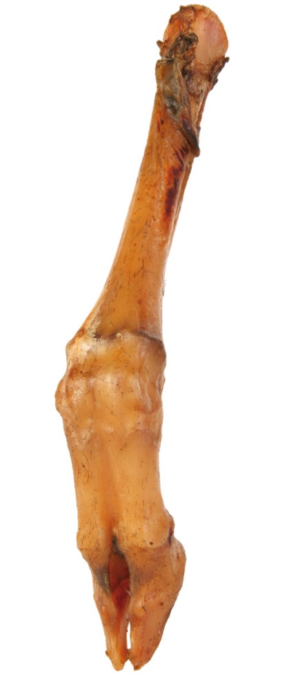 Lammfot