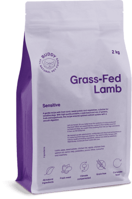 Buddy grass-fed lamb