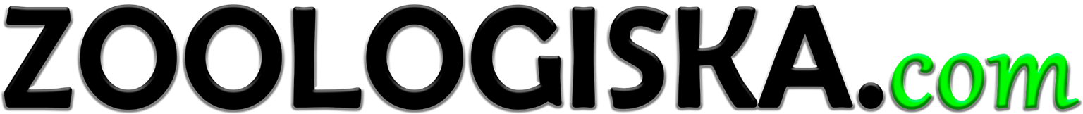 vår logotyp