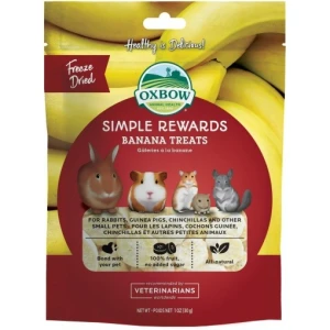 Oxbow simple rewards banana treats