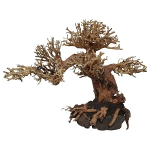 Peaceful Bonsai, 23x12x17 cm