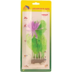 pink water lily 20 cm