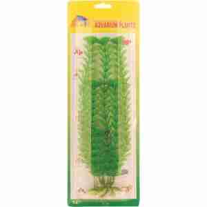 Limnophila plastväxt 30 cm