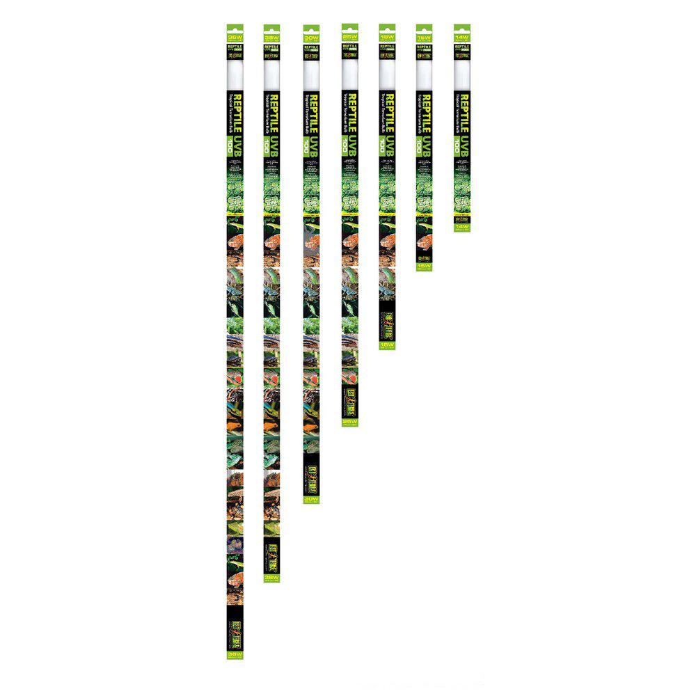 Reptile Uvb100 T8 Uva/uvb