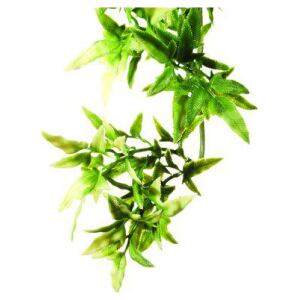 Croton S Plastväxt Exoterra