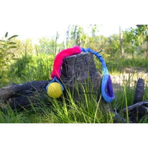Dog's craft hoko amor M