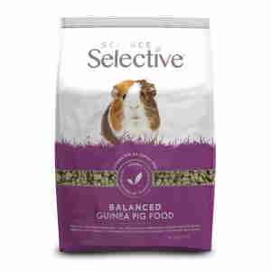 Selective Guinea Pig
